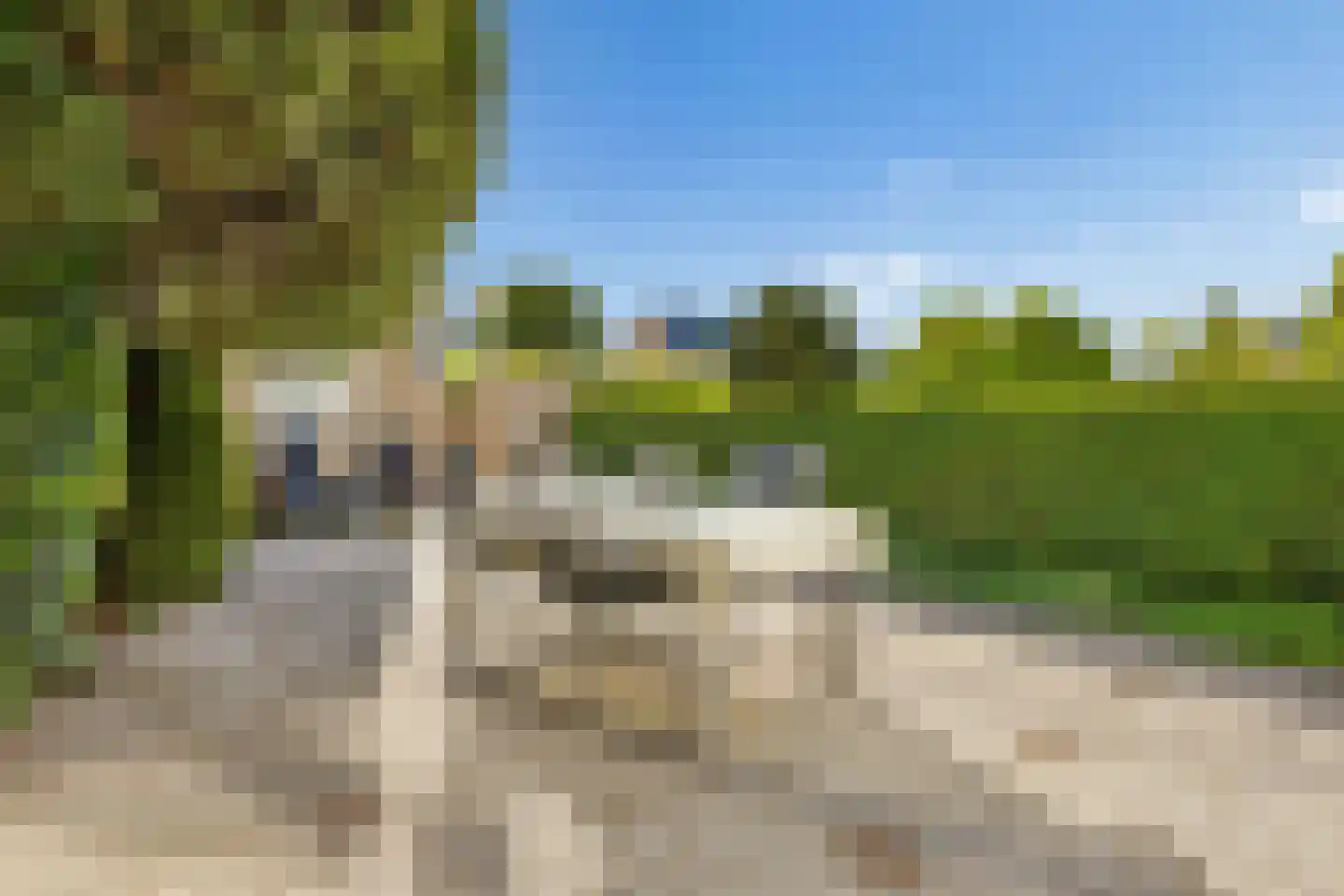 Prins Clausstraat 29 Houten thumbnail 33