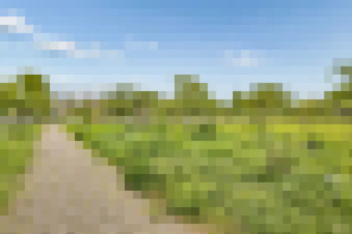 Prins Clausstraat 29 Houten thumbnail 44
