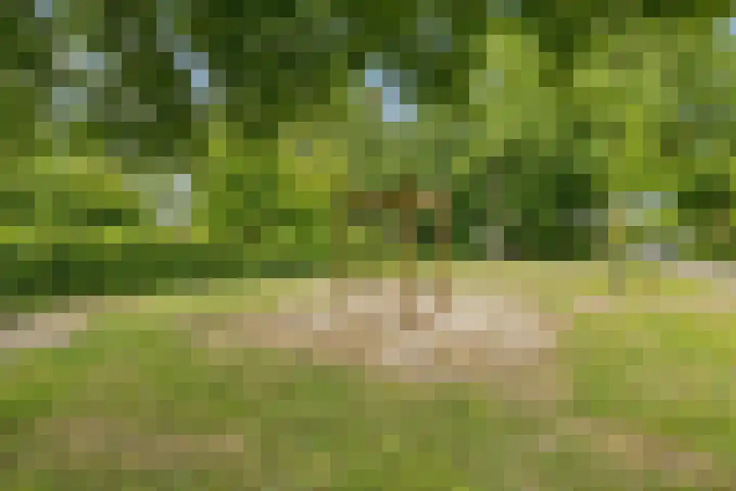 Prins Clausstraat 29 Houten thumbnail 46
