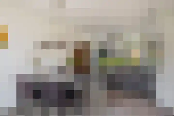Prins Clausstraat 3 Benschop thumbnail 11