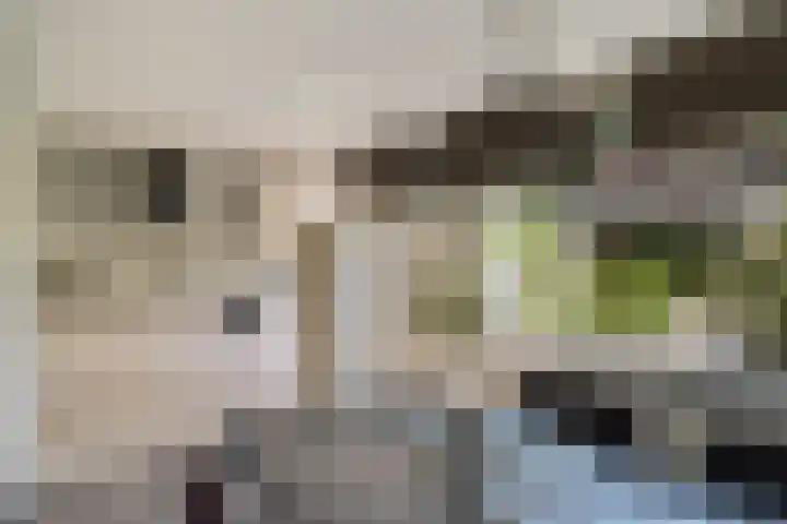 Prins Clausstraat 3 Benschop thumbnail 12