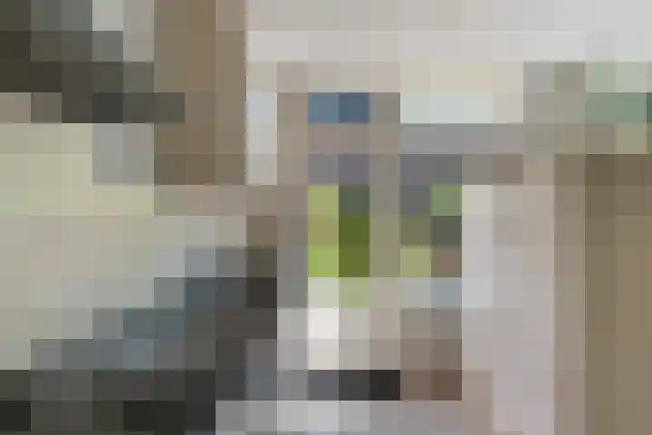 Prins Clausstraat 3 Benschop thumbnail 17