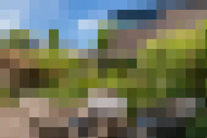 Prins Clausstraat 3 Benschop thumbnail 18