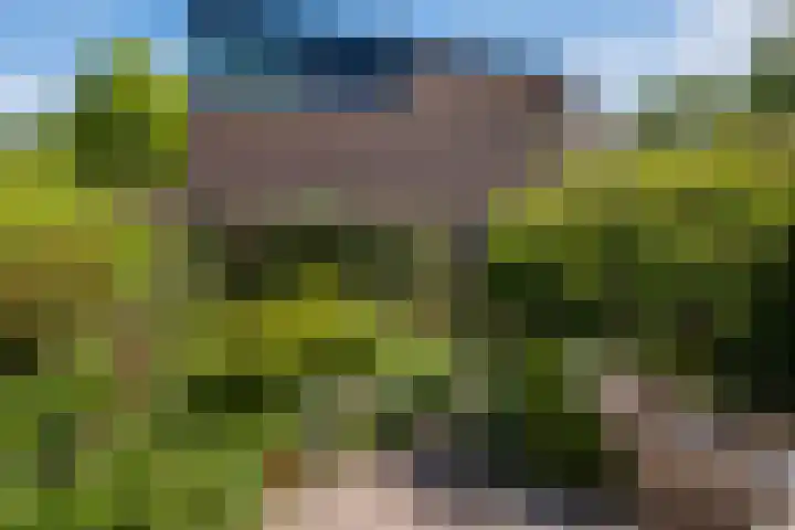 Prins Clausstraat 3 Benschop thumbnail 20