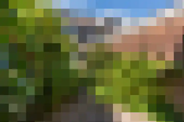 Prins Clausstraat 3 Benschop thumbnail 23