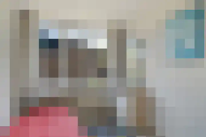 Prins Clausstraat 3 Benschop thumbnail 26