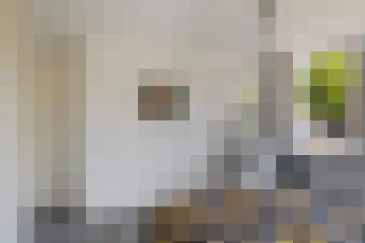 Prins Clausstraat 3 Benschop thumbnail 30