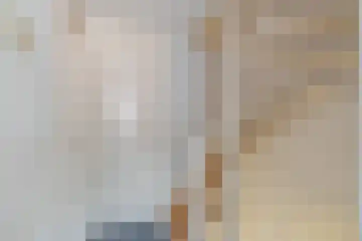 Prins Clausstraat 3 Benschop thumbnail 37