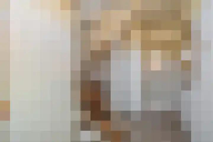 Prins Clausstraat 3 Benschop thumbnail 5