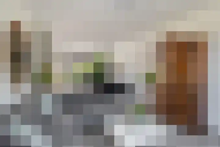Prins Clausstraat 3 Benschop thumbnail 7