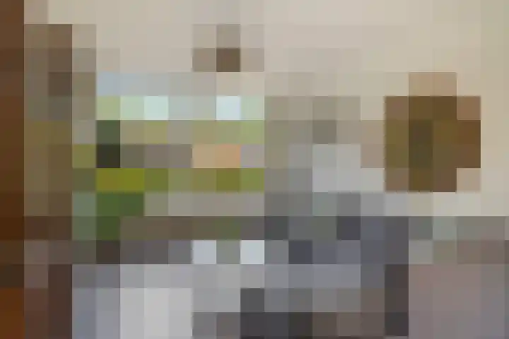 Prins Clausstraat 3 Benschop thumbnail 9