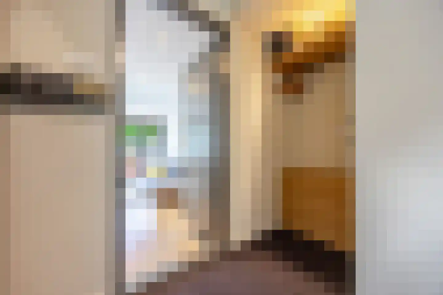Prins Clausstraat 3 's-Gravenzande thumbnail 13