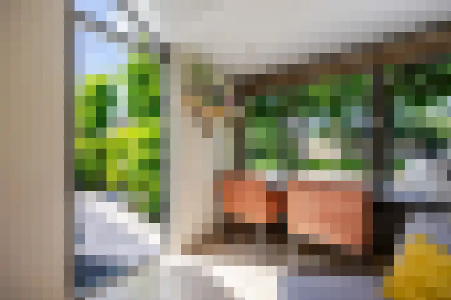 Prins Clausstraat 3 's-Gravenzande thumbnail 16