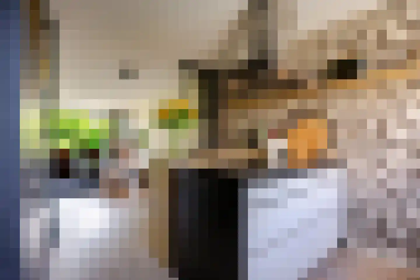 Prins Clausstraat 3 's-Gravenzande thumbnail 24