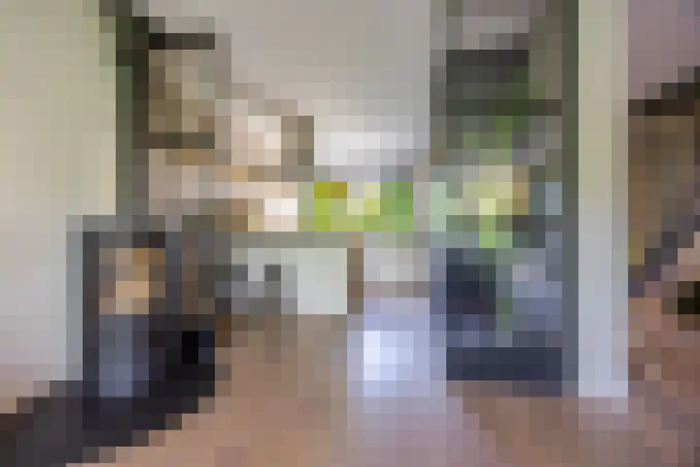 Prins Clausstraat 3 's-Gravenzande thumbnail 30