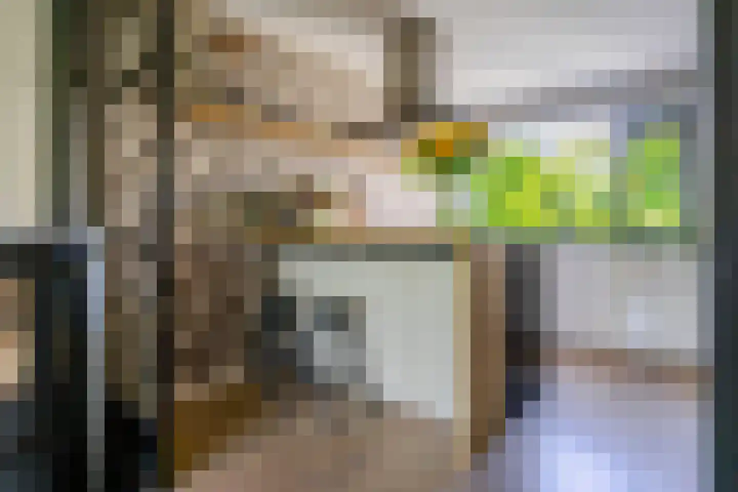 Prins Clausstraat 3 's-Gravenzande thumbnail 31