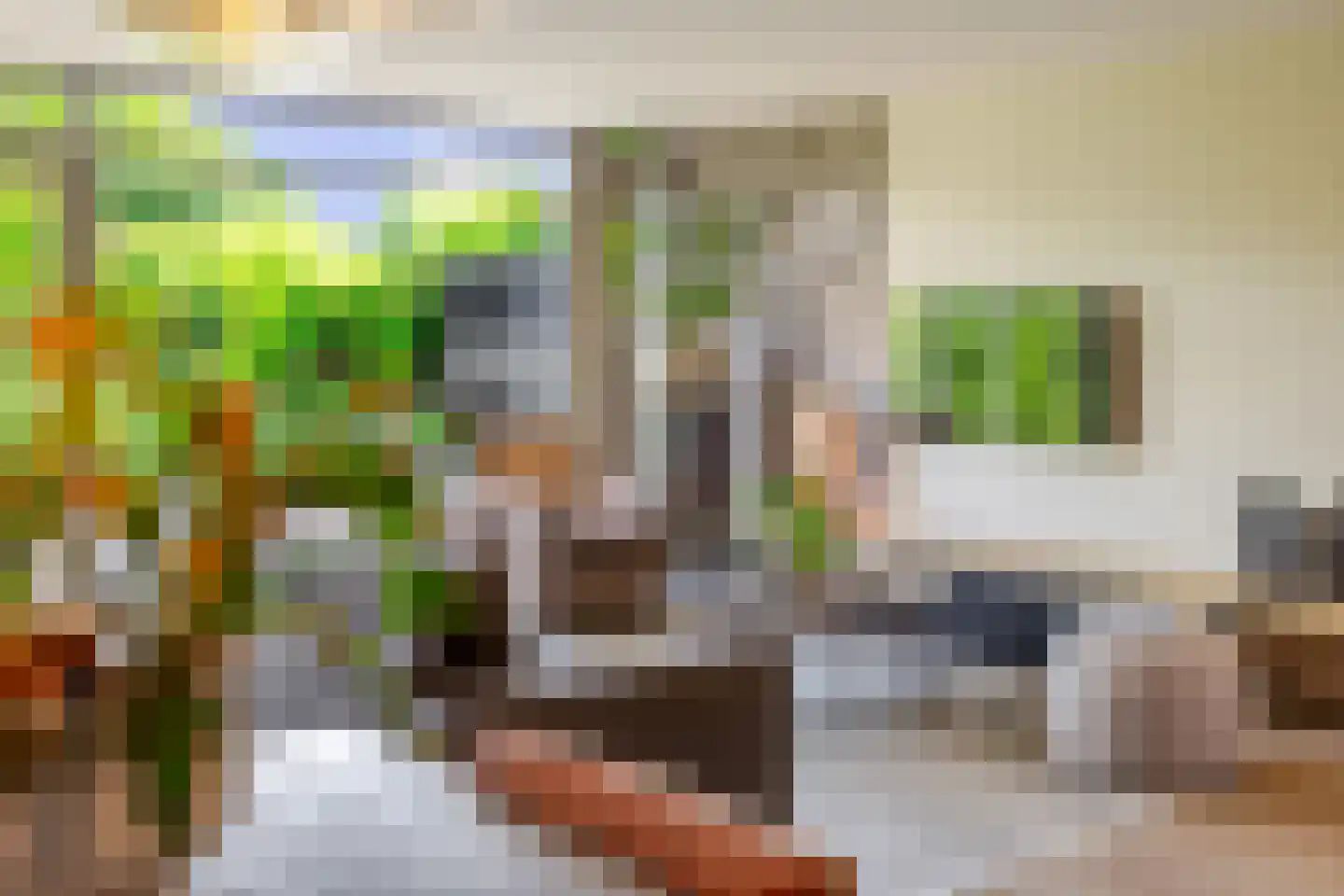 Prins Clausstraat 3 's-Gravenzande thumbnail 32