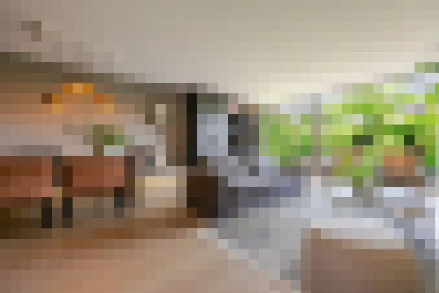 Prins Clausstraat 3 's-Gravenzande thumbnail 34