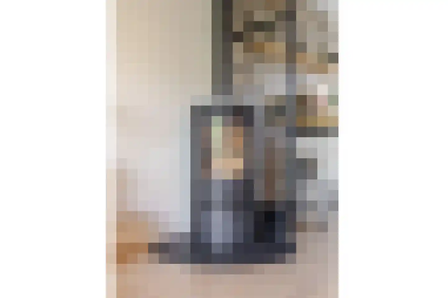 Prins Clausstraat 3 's-Gravenzande thumbnail 38
