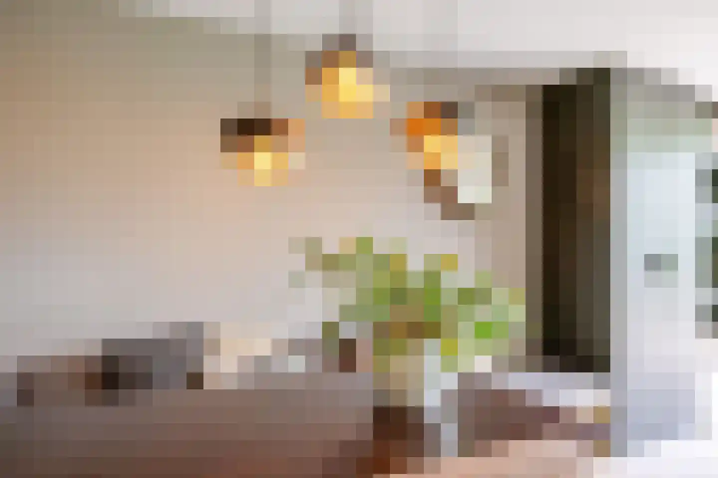 Prins Clausstraat 3 's-Gravenzande thumbnail 39