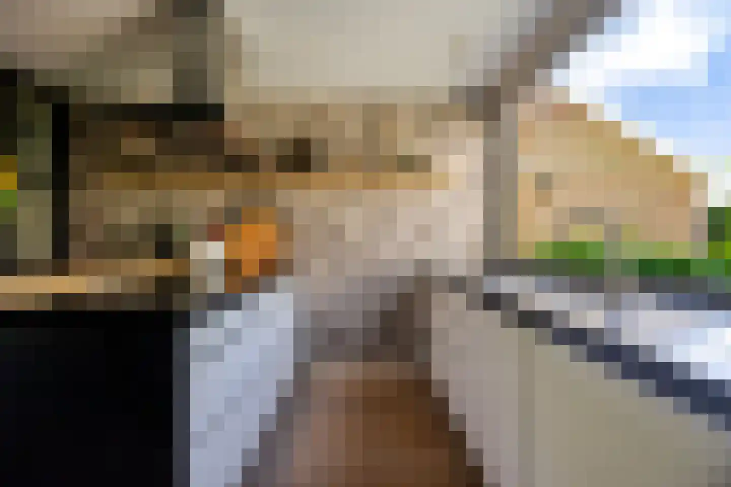 Prins Clausstraat 3 's-Gravenzande thumbnail 4