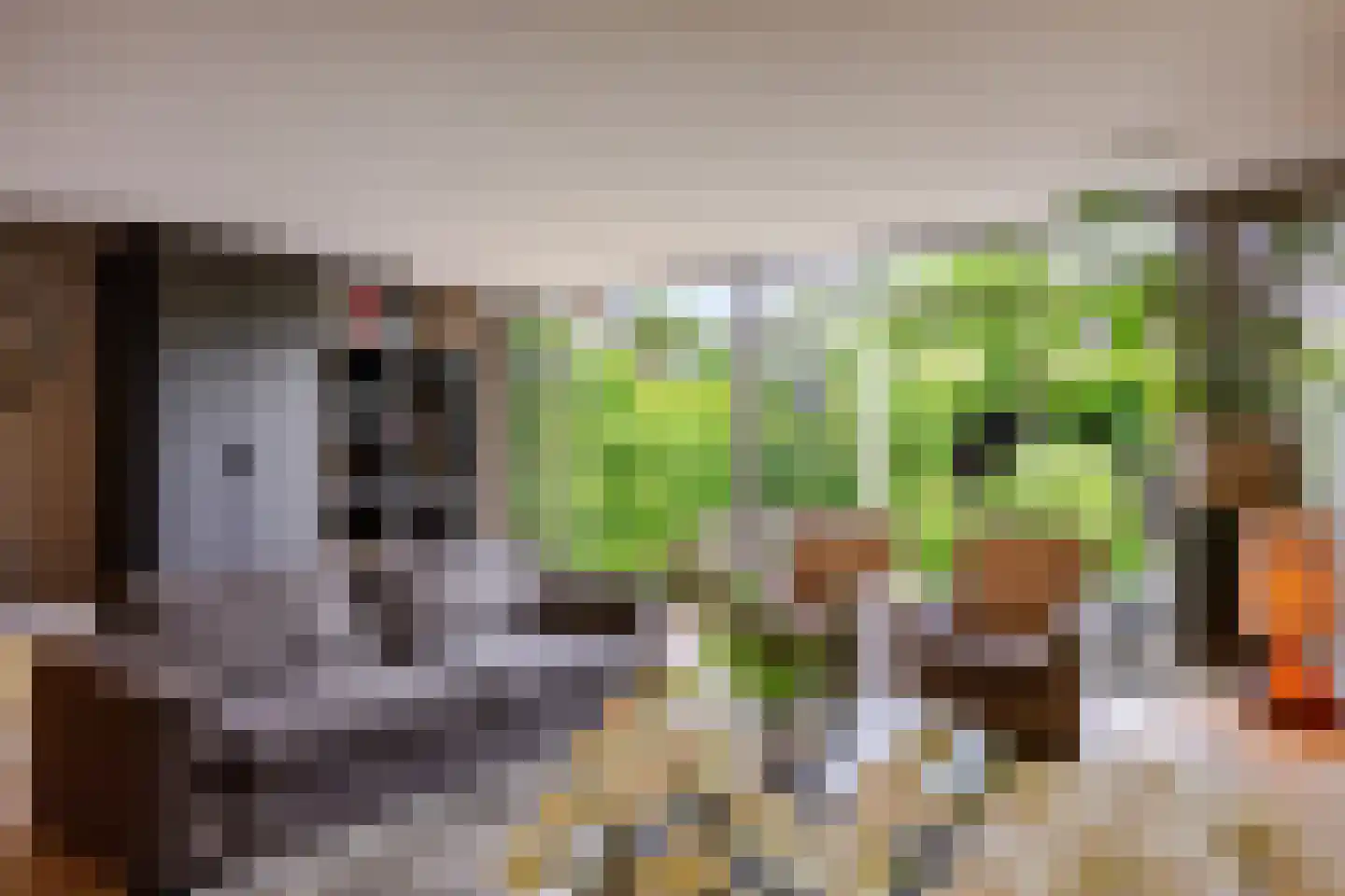 Prins Clausstraat 3 's-Gravenzande thumbnail 40
