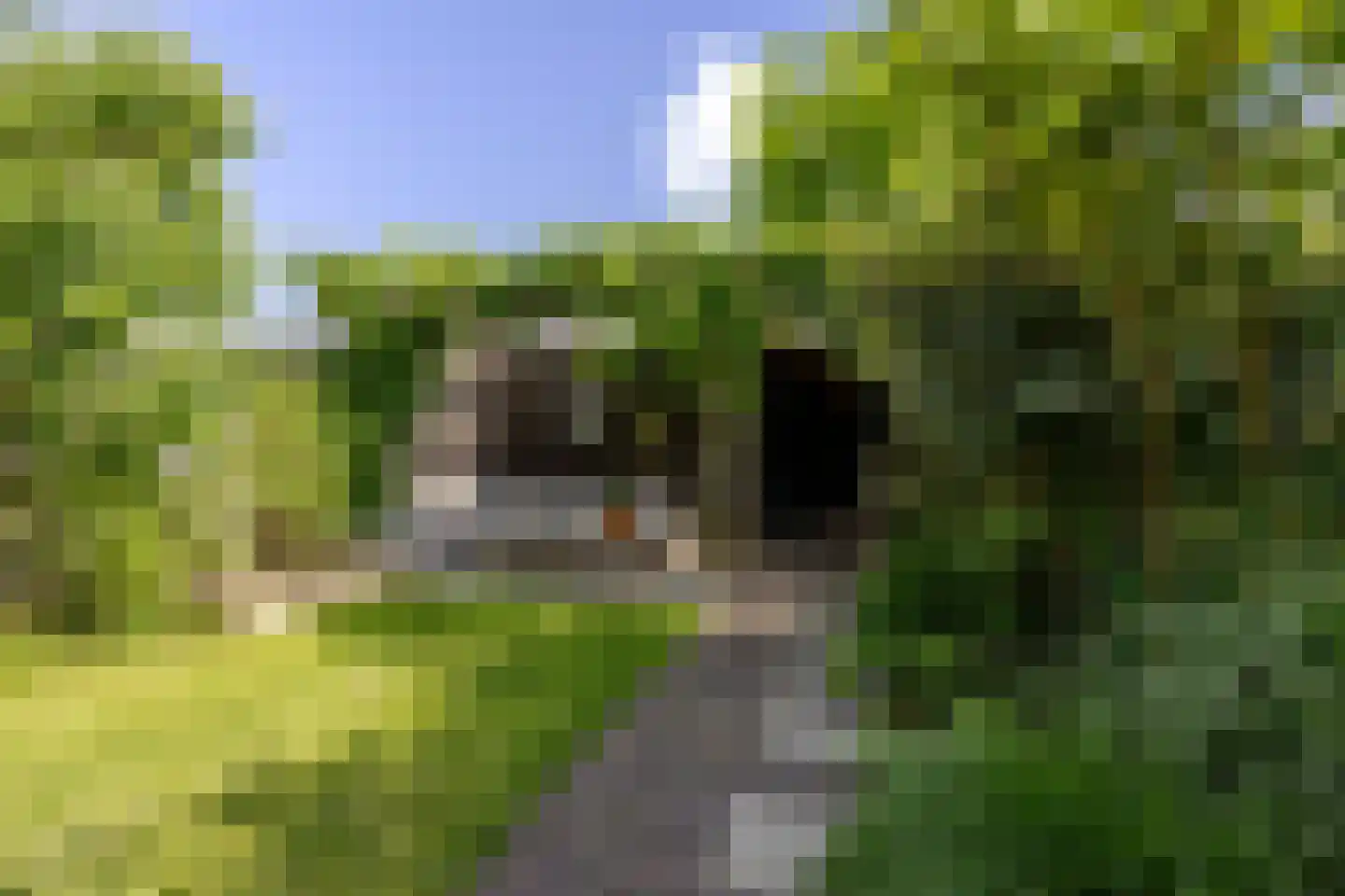 Prins Clausstraat 3 's-Gravenzande thumbnail 46