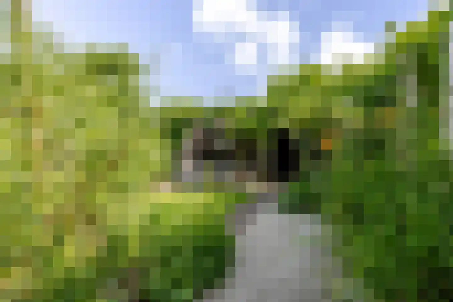 Prins Clausstraat 3 's-Gravenzande thumbnail 47
