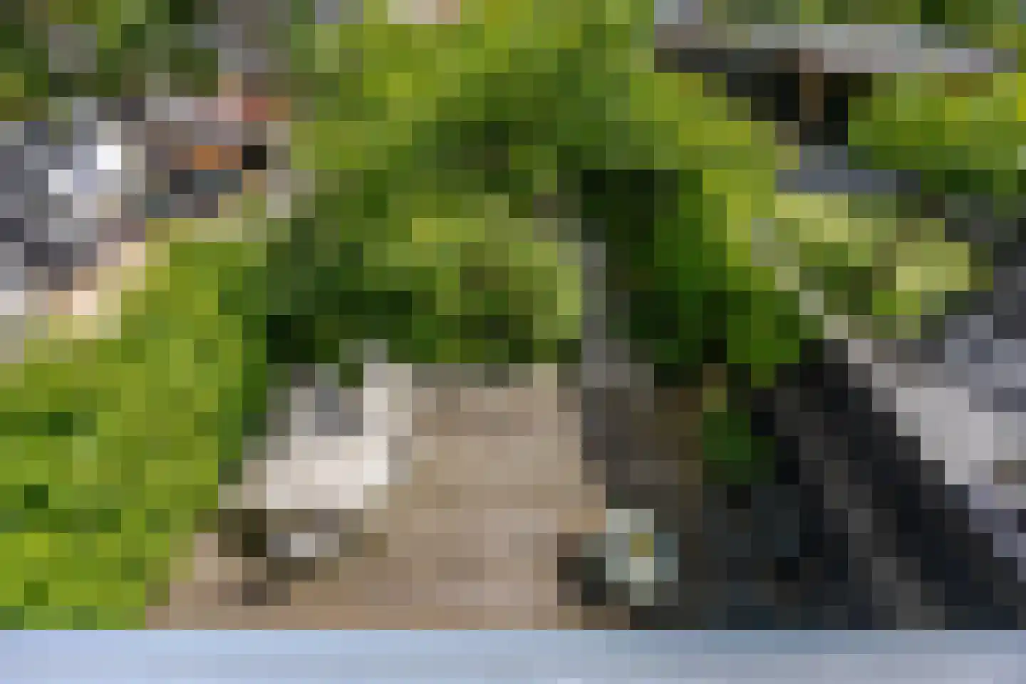 Prins Clausstraat 3 's-Gravenzande thumbnail 5