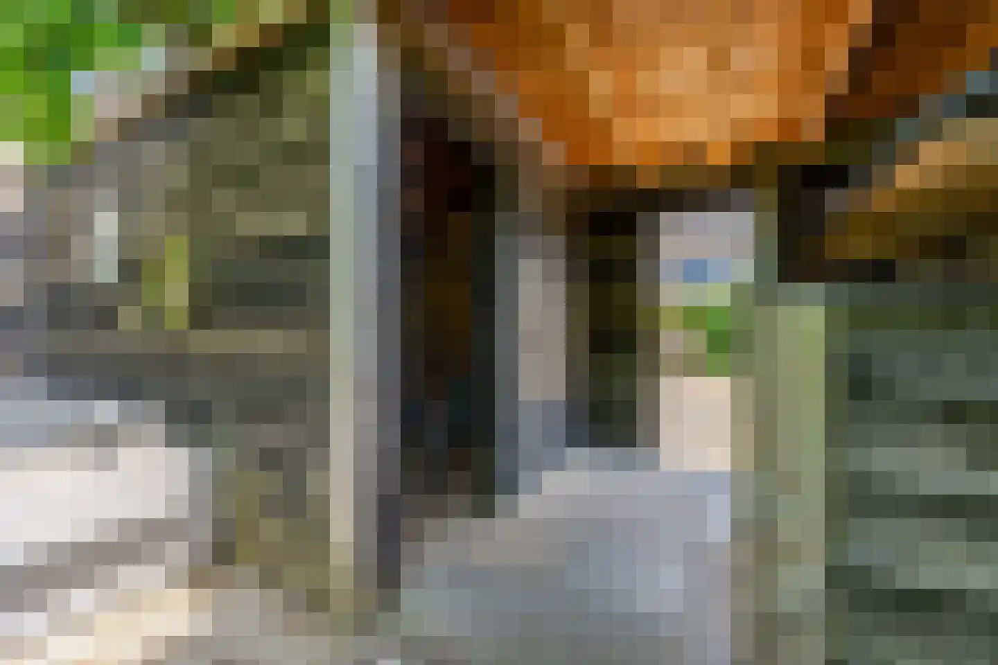 Prins Clausstraat 3 's-Gravenzande thumbnail 50