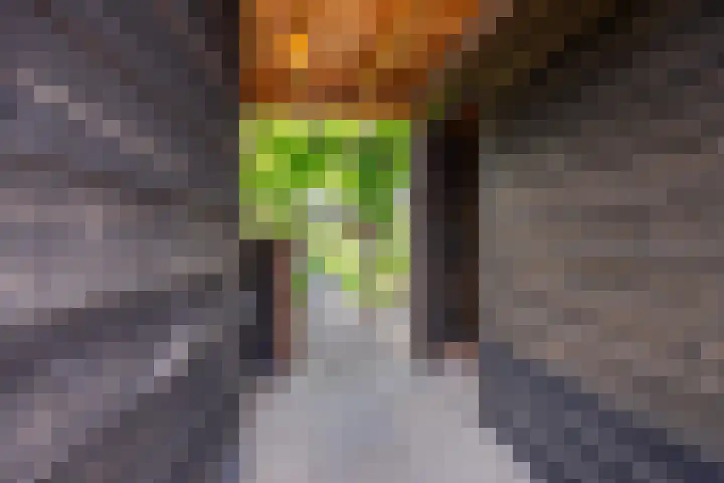 Prins Clausstraat 3 's-Gravenzande thumbnail 52