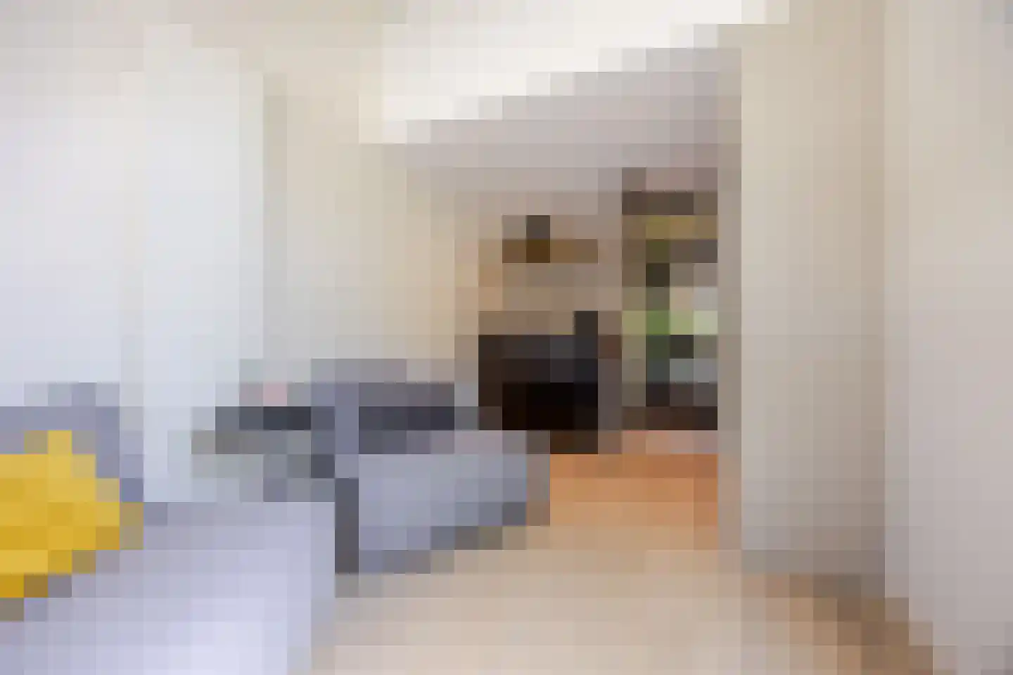 Prins Clausstraat 3 's-Gravenzande thumbnail 6