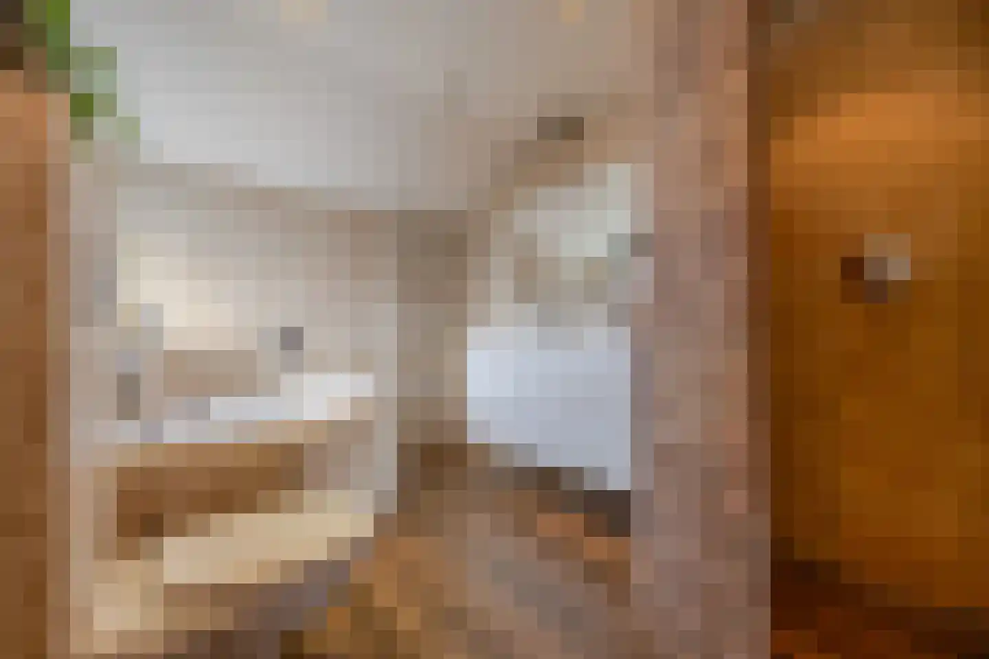 Prins Clausstraat 3 's-Gravenzande thumbnail 7