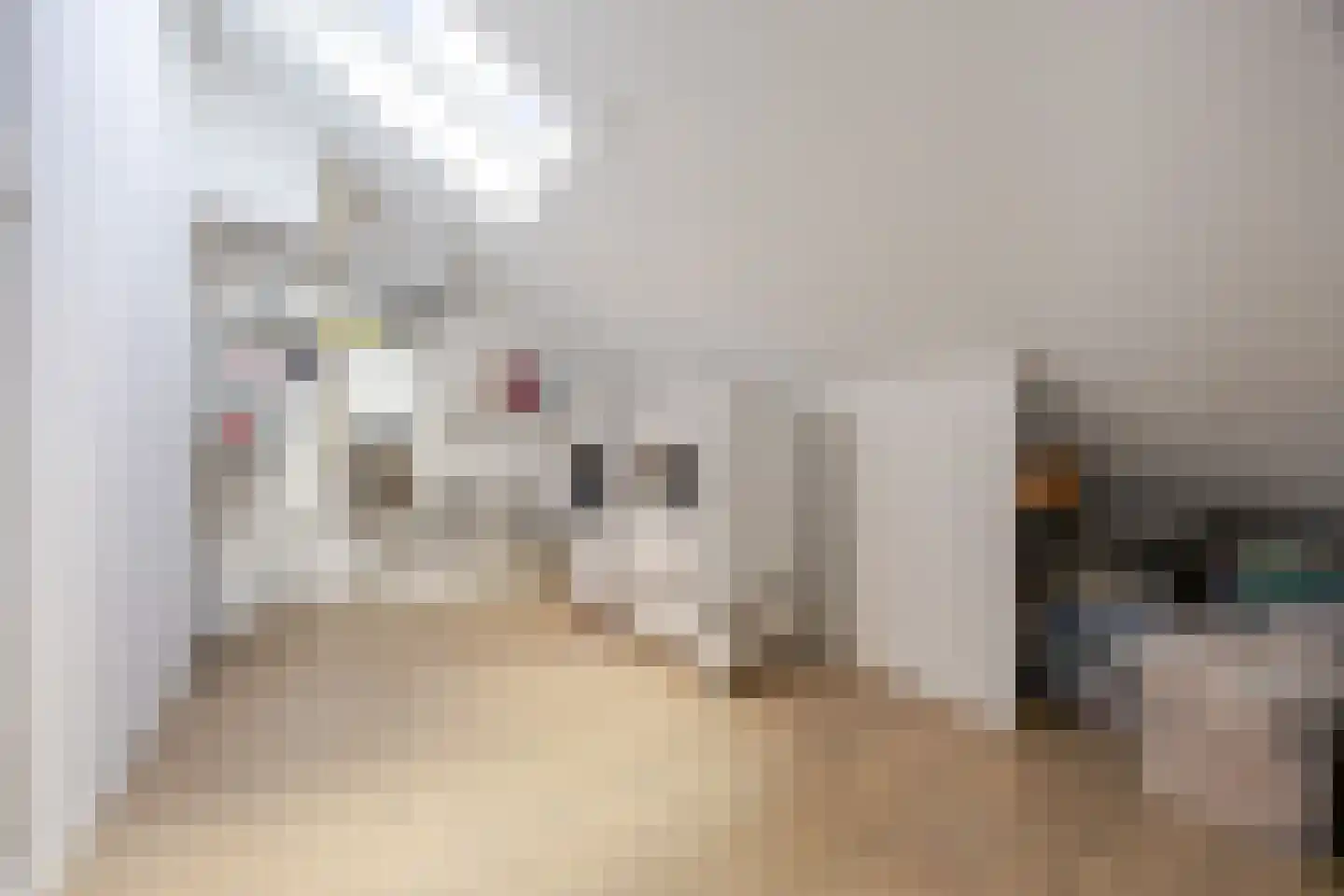 Prins Clausstraat 3 's-Gravenzande thumbnail 8
