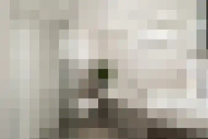 Prins Clausstraat 3 Sassenheim thumbnail 20