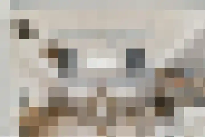 Prins Clausstraat 3 Sassenheim thumbnail 26