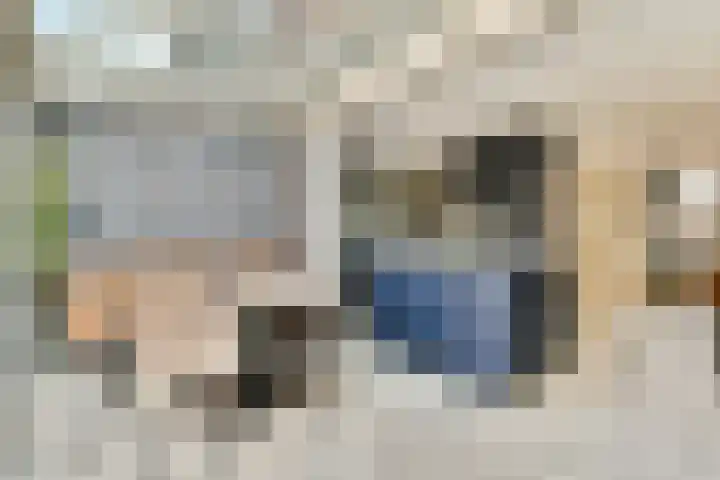 Prins Clausstraat 3 Sassenheim thumbnail 6