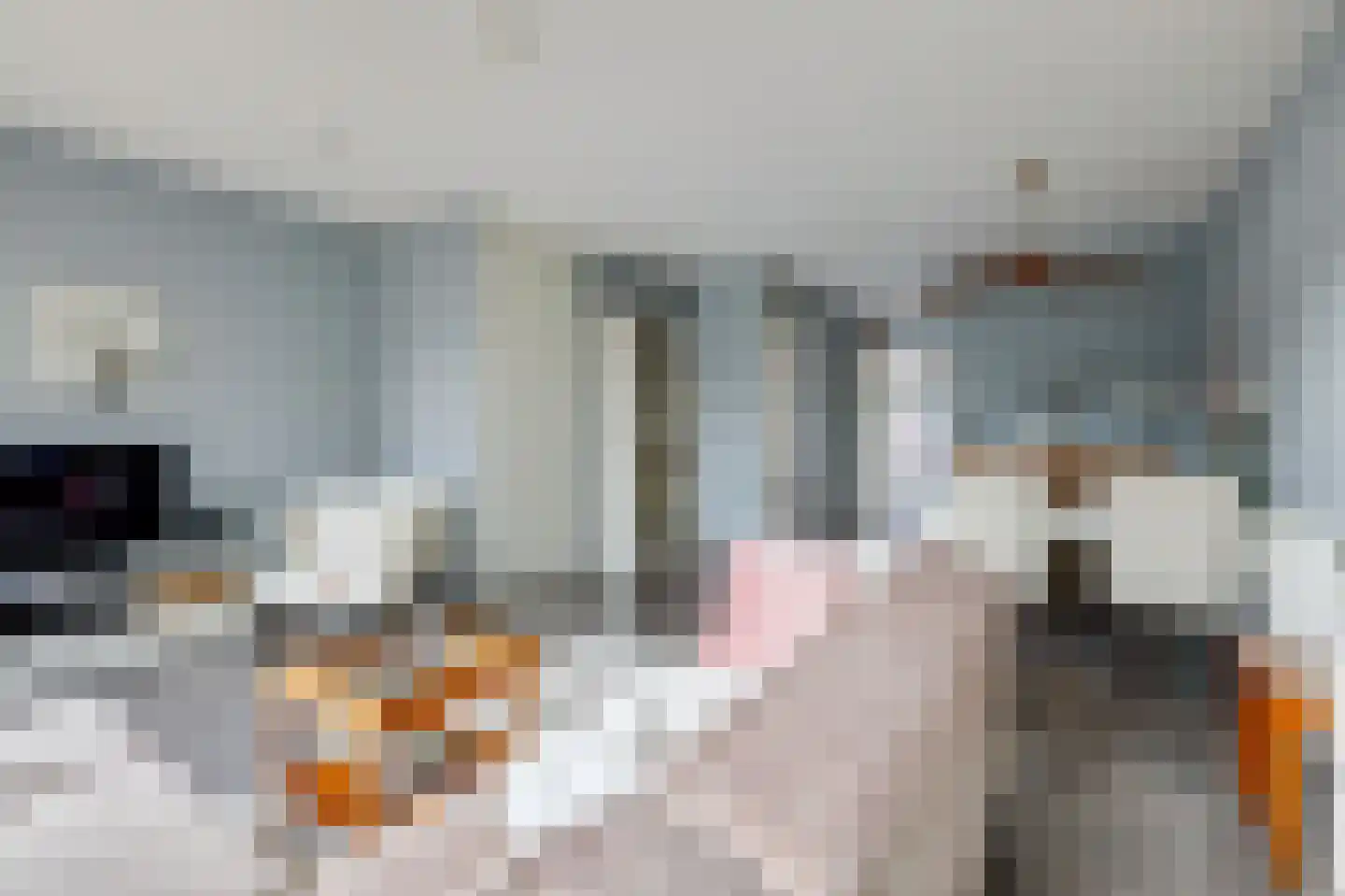 Prins Clausstraat 3 Velp thumbnail 12