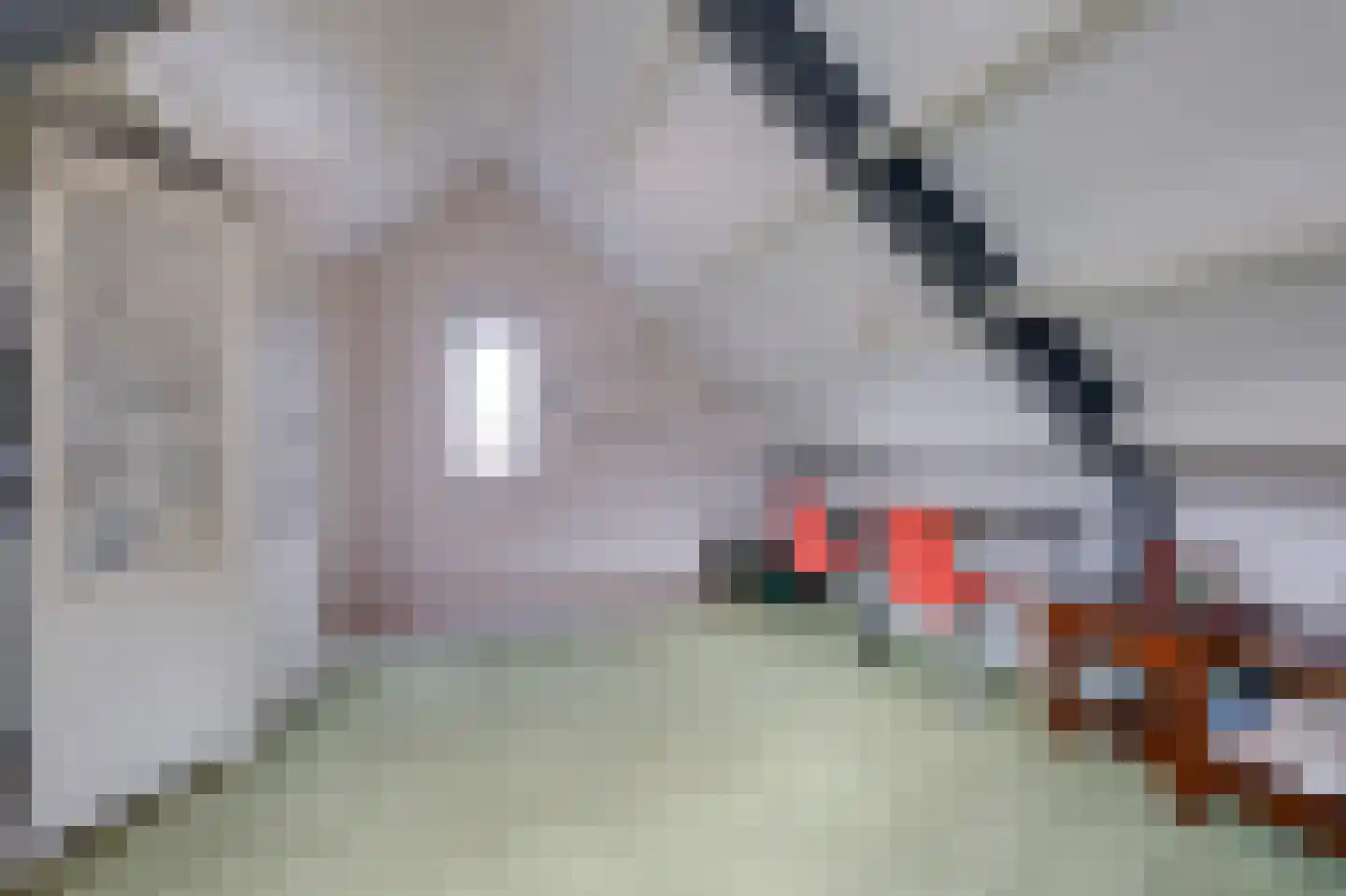 Prins Clausstraat 3 Velp thumbnail 24