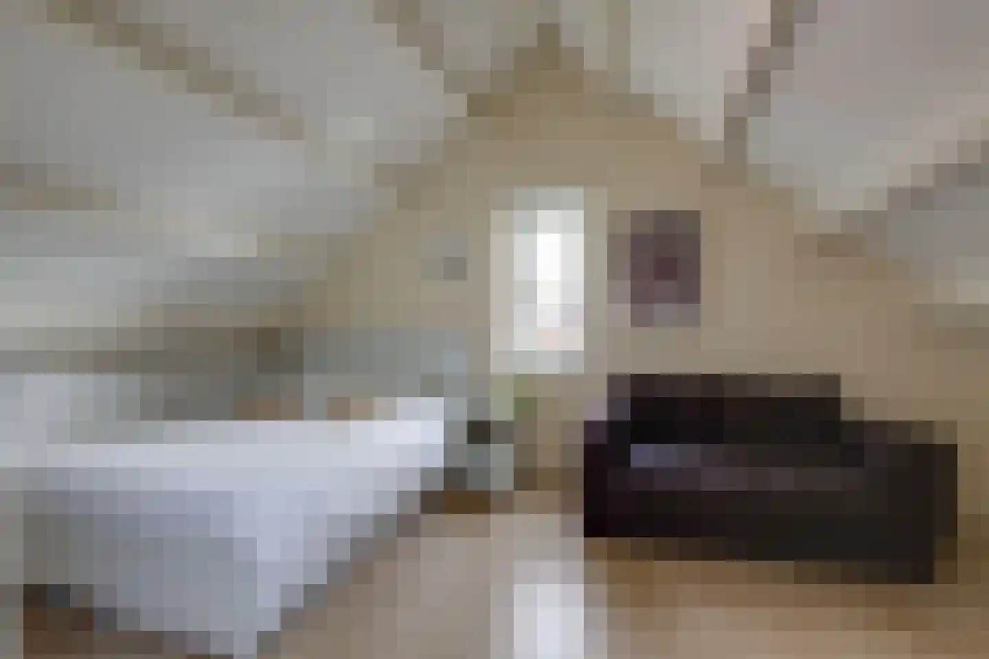 Prins Clausstraat 3 Velp thumbnail 25