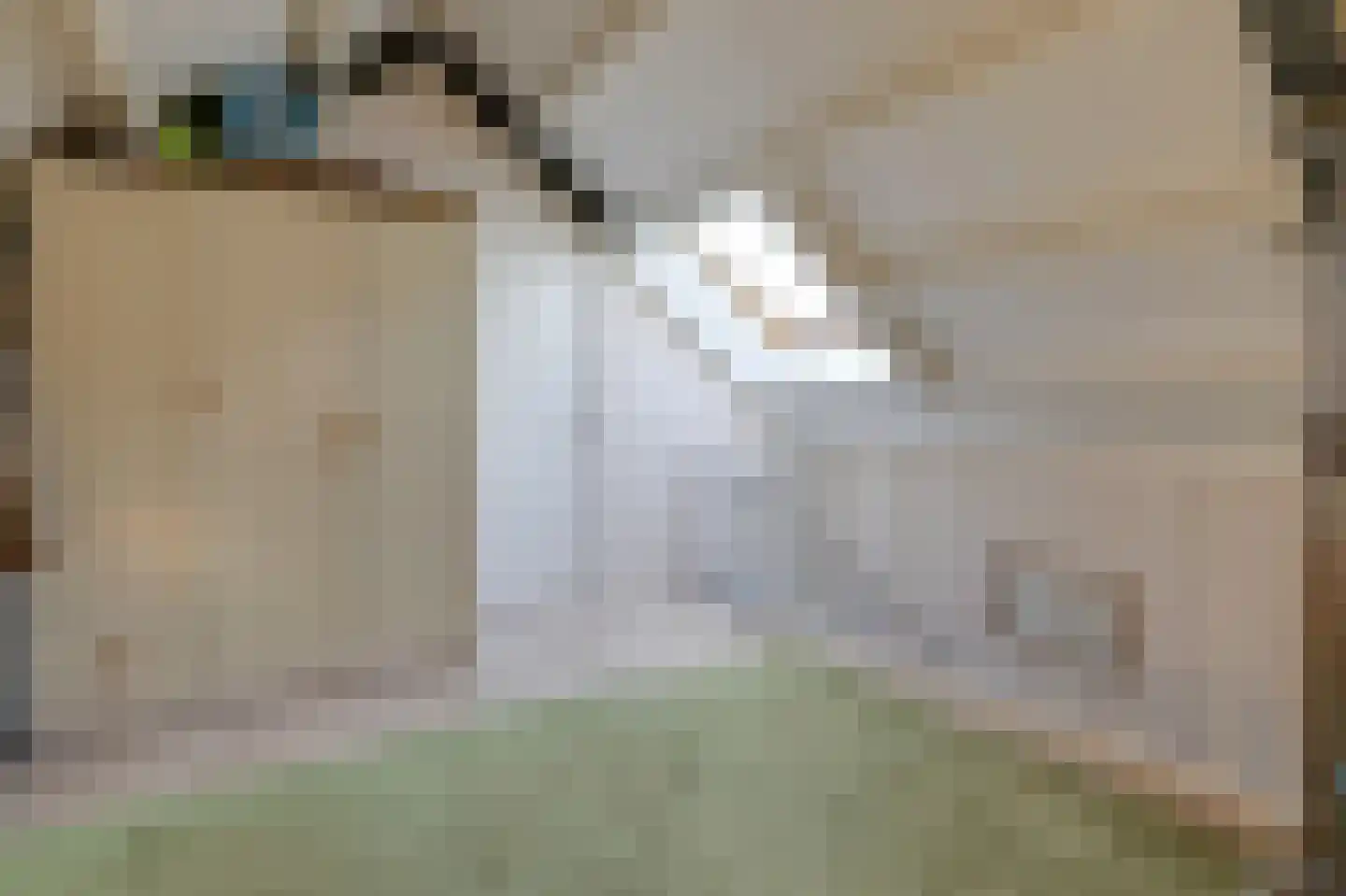 Prins Clausstraat 3 Velp thumbnail 26