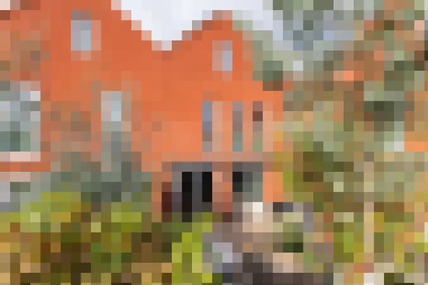 Prins Clausstraat 3 Velp thumbnail 27