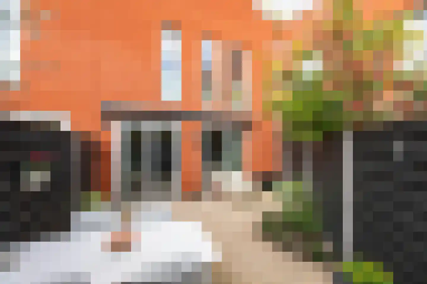 Prins Clausstraat 3 Velp thumbnail 28