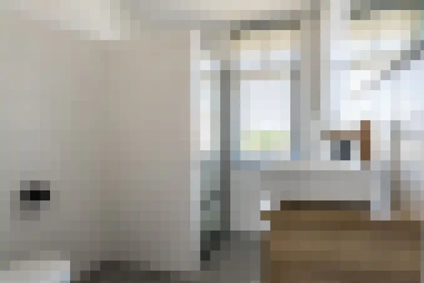 Prins Clausstraat 31 Oosterhout thumbnail 15