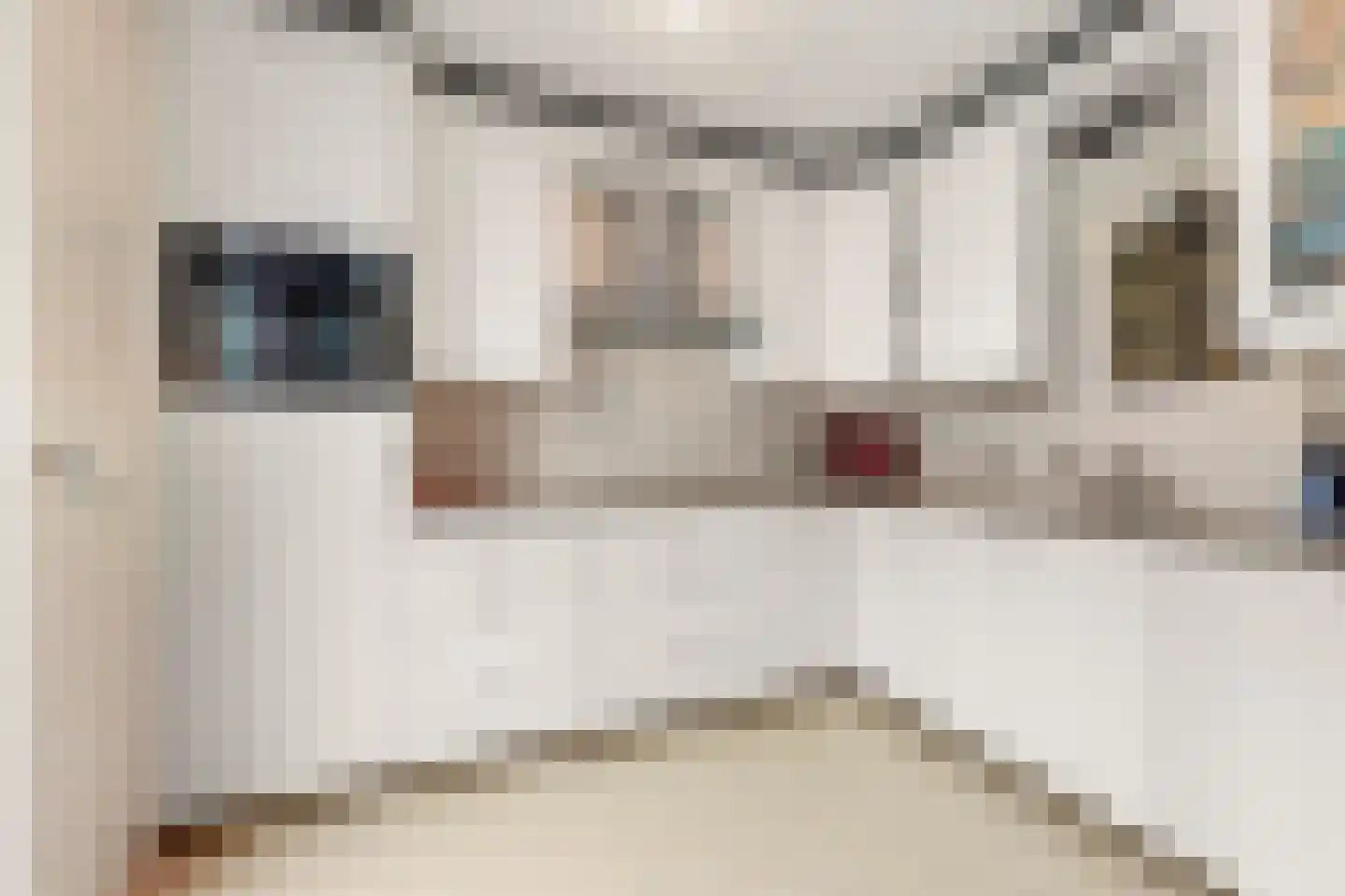 Prins Clausstraat 33 Houten thumbnail 13