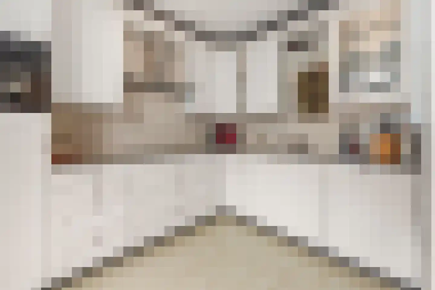 Prins Clausstraat 33 Houten thumbnail 14