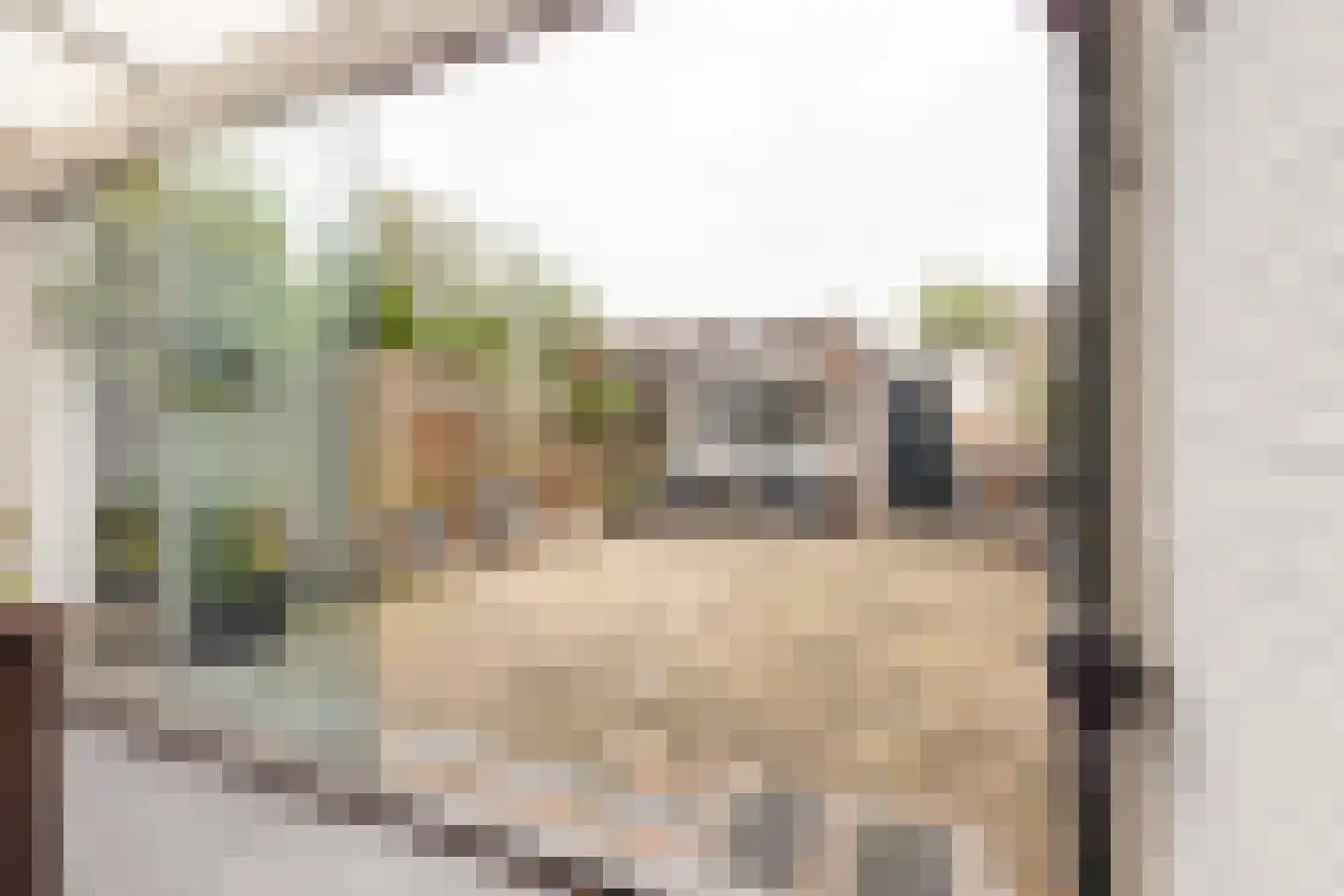 Prins Clausstraat 33 Houten thumbnail 21