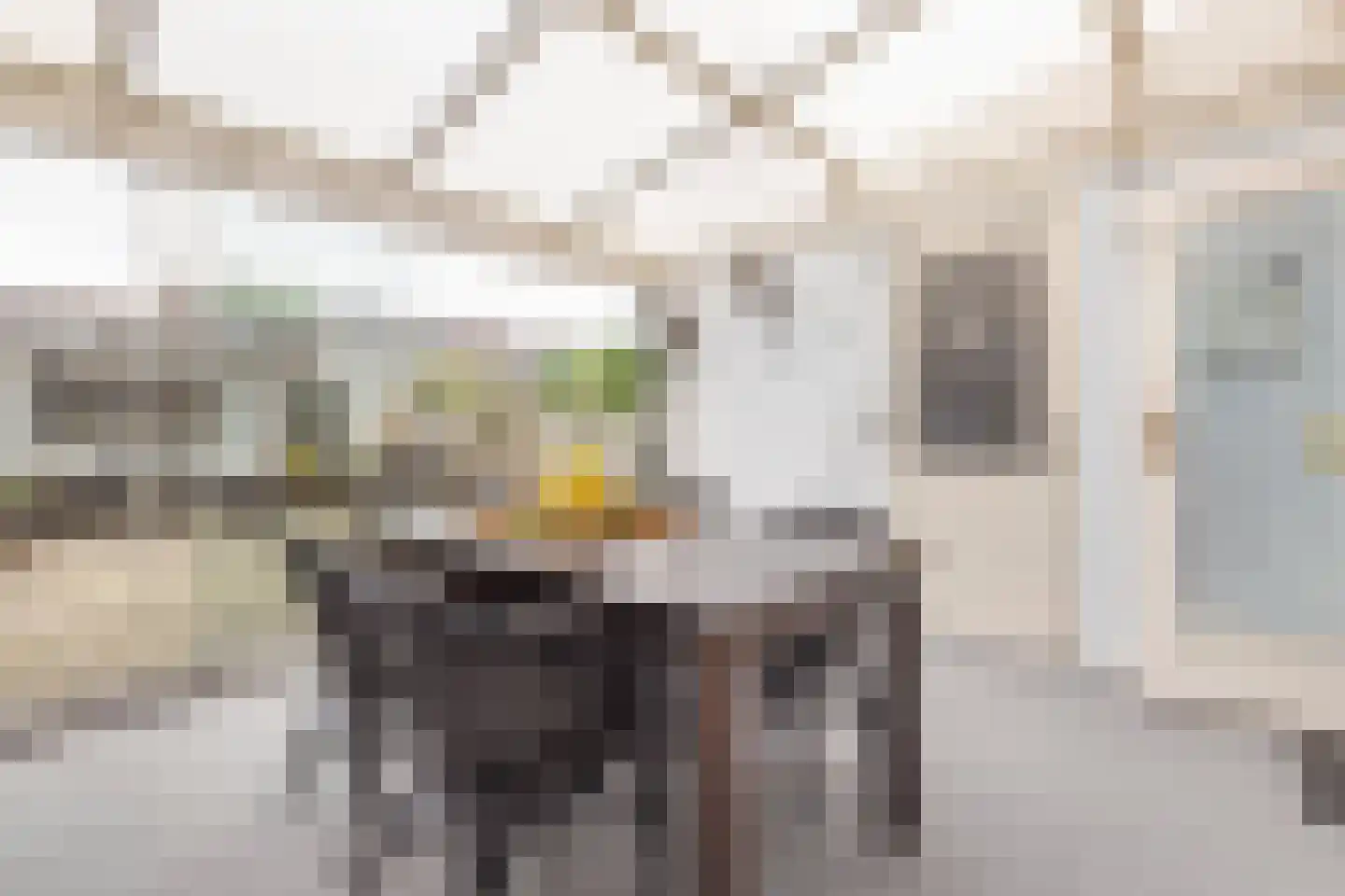 Prins Clausstraat 33 Houten thumbnail 22