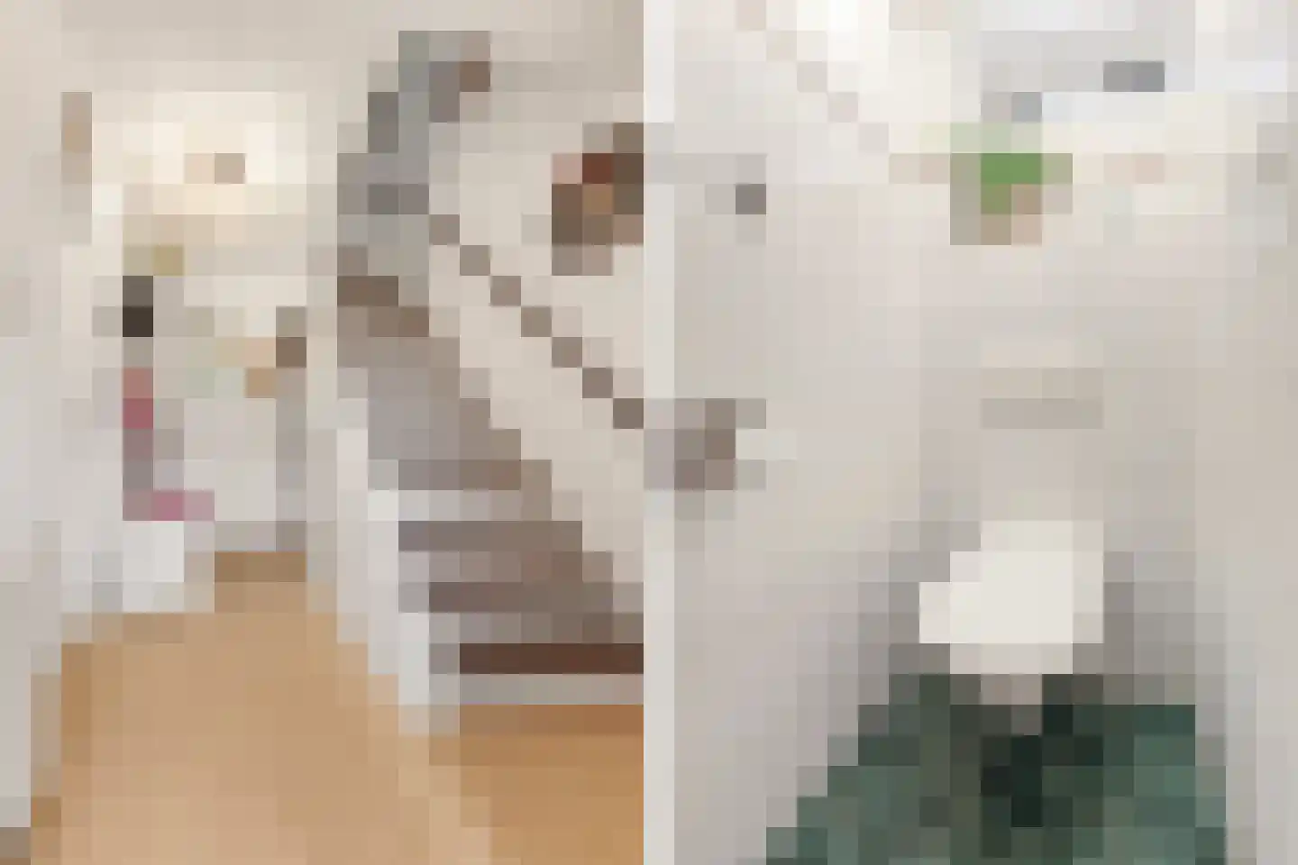 Prins Clausstraat 33 Houten thumbnail 26