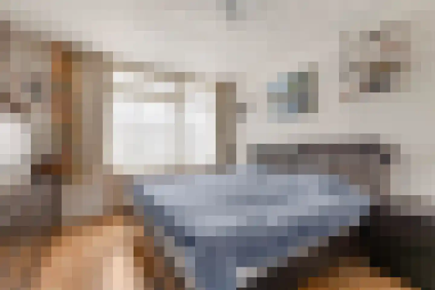 Prins Clausstraat 33 Houten thumbnail 28